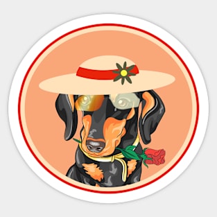 Cute Dachshund in hat and glasses! Especially for Doxie owners! Sticker